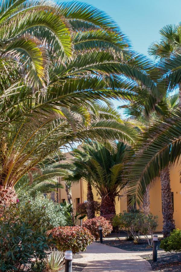 Fuerteventurapartments Corralejo Luaran gambar