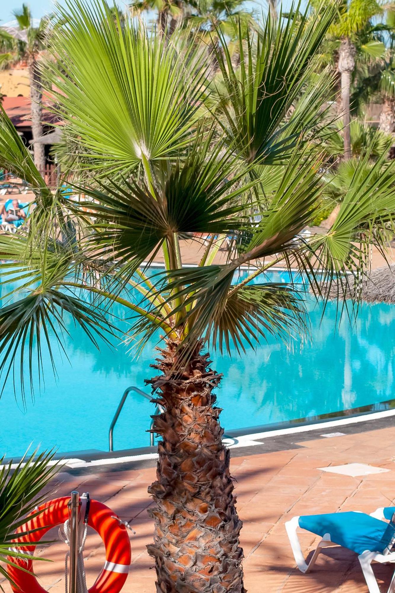 Fuerteventurapartments Corralejo Luaran gambar